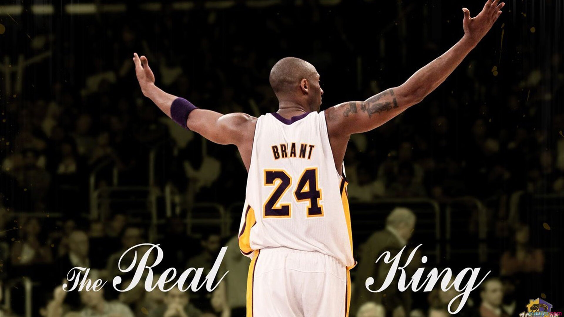 穆雷回归赛场，惊险取胜首场状态亮眼，雄鹿观众沸腾！